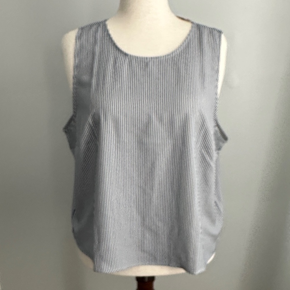 J. Crew Blue and White Striped Tank Top